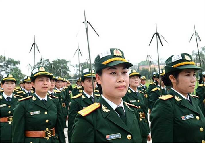 Tạm dừng chấn chỉnh đội hình