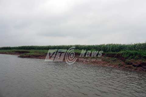 cát tặc, Hải Dương, Tứ Kỳ, trọng thương, sông Luộc