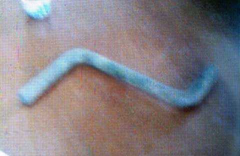 cát tặc, sông Luộc, Tứ Kỳ, Hải Dương, Vĩnh Bảo, Hải Phòng