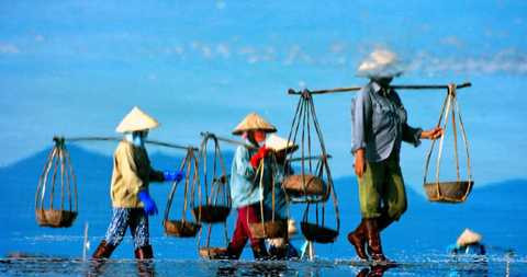 cánh đồng muối, Hòn Khói, Khánh Hòa, 