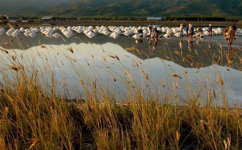 cánh đồng muối, Hòn Khói, Khánh Hòa, 