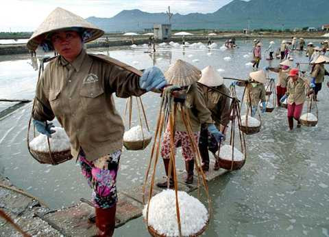 cánh đồng muối, Hòn Khói, Khánh Hòa, 