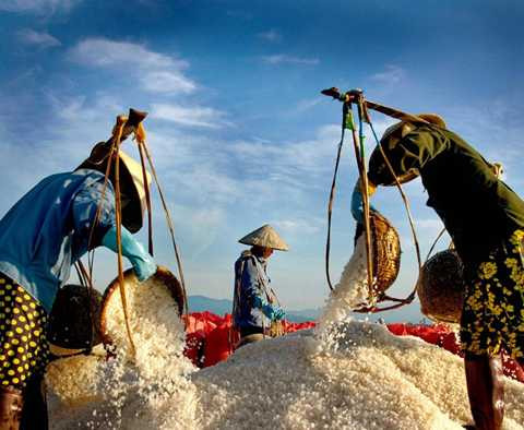 cánh đồng muối, Hòn Khói, Khánh Hòa, 