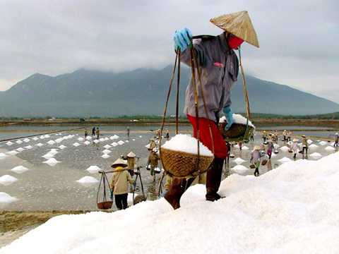 cánh đồng muối, Hòn Khói, Khánh Hòa, 