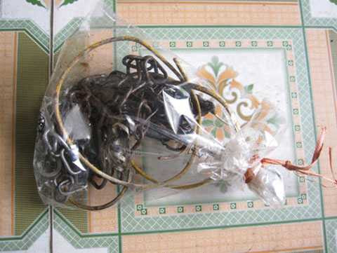 Hải Phòng, chó cưng, điện giật, tử vong