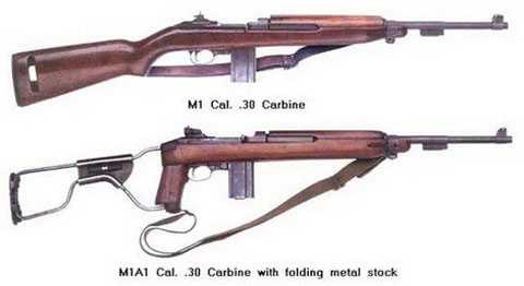 dân quân tự vệ, diễu binh, chiến thắng Điện Biên Phủ