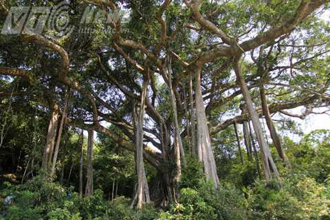 Đà Nẵng, du lịch, 30/4, 1/5, nghỉ lễ, du khách, khách du lịch