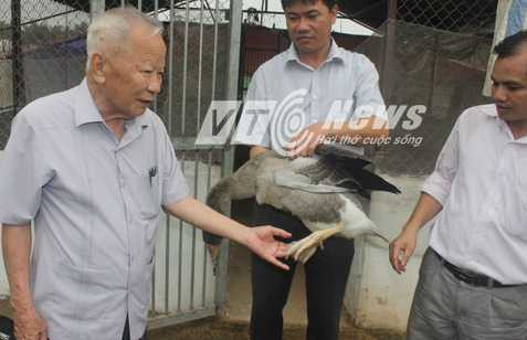 Phó Thủ tướng Nguyễn Công Tạn 