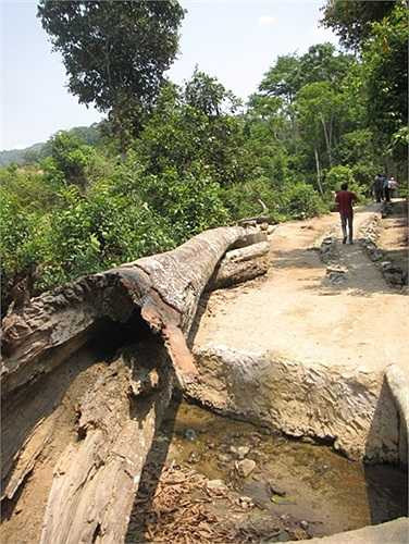 Nơi đây có hầm xuyên lòng núi, Đại tướng Võ Nguyên Giáp vẫn thường làm việc và nghỉ ngơi để tránh đạn pháo của quân Pháp.