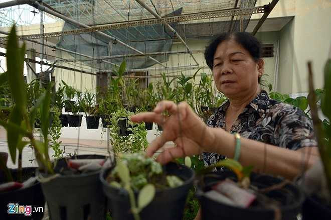 Vốn là con gái vùng 'Đât thép' Củ Chi, bà Nghĩa vượt qua nỗi đau mất người chồng thương yêu với tâm niệm 'Hạnh phúc chính là cuộc sống'. Bà tham gia CLB Biệt động Sài Gòn, tham gia công tác Đảng, công tác phụ nữ rồi dần trở lại với cuộc sống vui vẻ bên con cháu ở phường 6, quận Gò Vấp, TP.HCM. 