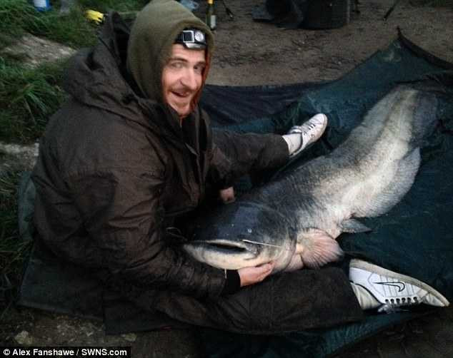 Dân câu nghiệp dư kể chuyện săn cá nheo quái vật