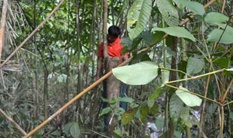 Quảng Nam, công an xã, công an viên, giết chủ nợ, tự sát, treo cổ