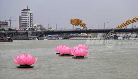 Đà Nẵng, sông Hàn, hoa sen, khổng lồ, Phật đản, Vesak