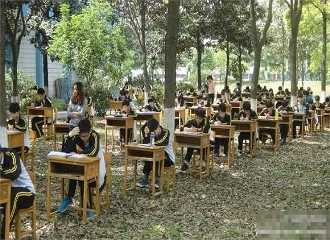 Quang cảnh kỳ thi trong rừng của học sinh trường trung học Chengfeng.
