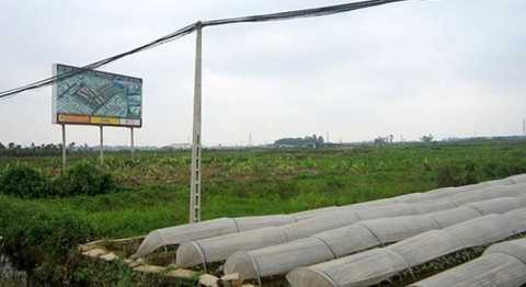 Đất đai, Hà Nội, sai phạm, pháp luật, thanh tra