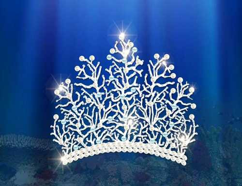 phac thao vuong mien HHDD