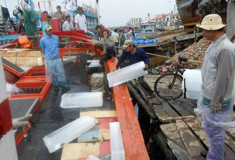 tàu cá, Trung Quốc, đánh bắt trái phép, ngư dân, Lý Sơn