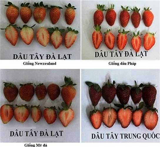 Đã có rất nhiều công bố về mức độ tàn dư hóa chất độc hại có thể có trong trái cây Trung Quốc, nhưng lái buôn ham lợi nên các trái cây chứa nhiều nguy cơ độc hại vẫn đưa vào Việt Nam.