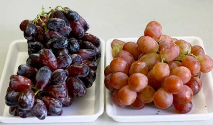 Cục Bảo vệ thực vật đã công bố nho Trung Quốc chứa hóa chất vượt ngưỡng 3-5 lần, được bày bán tại Việt Nam dưới mác nho Mỹ để đánh lừa người tiêu dùng với giá 40.000-60.000 đồng