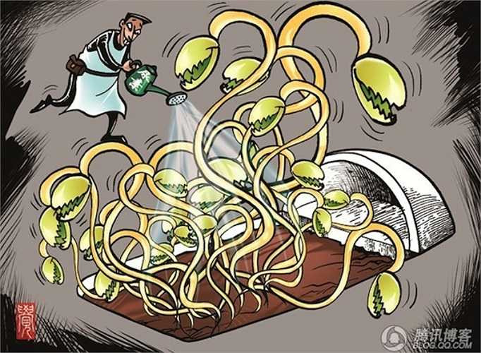 Giá đỗ của Trung Quốc có chất tẩy rửa, hormone tăng trưởng. Tiêu thụ loại giá đỗ này một thời gian dài sẽ dẫn tới nguy cơ mắc bệnh ung thư cùng sự ra đời của nhiều trẻ em bị dị tật bẩm sinh. 