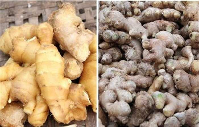 Sau thông tin gừng, khoai tây Trung Quốc bị phát hiện có hàm lượng thuốc bảo vệ thực vật vượt ngưỡng cho phép khiến không ít người tiêu dùng hoang mang.