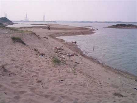 Bãi tắm tiên bên sông Hồng này xuất hiện từ khi nào không ai biết, nhiều người lớn tuổi sinh ra ở Hà Nội sống quanh khu vực Hoàn Kiếm cũng chỉ mang máng rằng từ hồi trẻ đã thấy nhiều người ra đó tắm tiên rồi. 