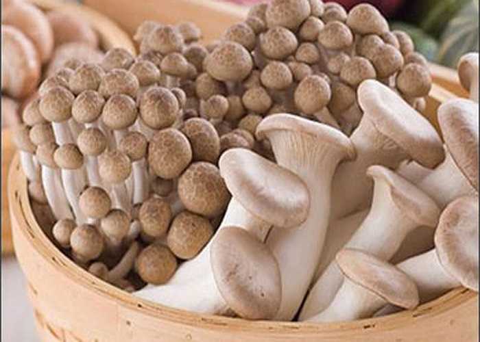 Nấm tươi: Các cơ quan chức năng của tỉnh Phúc Kiến, miền đông nam Trung Quốc đã thu giữ 35 tấn nấm đang được xử lý bằng các chất công nghiệp có thể gây ung thư. Cụ thể, chúng được ngâm trong hóa chất axit citric công nghiệp.