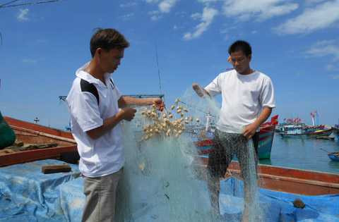 Ngư dân, Hoàng Sa, Lý Sơn, vượt biển, bám biển