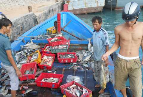 Ngư dân, Hoàng Sa, Lý Sơn, vượt biển, bám biển