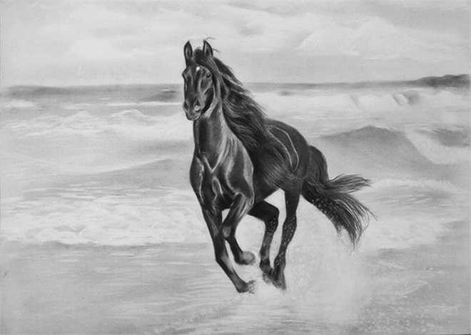 Ngoài vẽ chân dung, Phượng thường xuyên thay đổi mẫu. Bức tranh cô vẽ ngựa bằng chì được hoàn thành trong 6 tiếng.