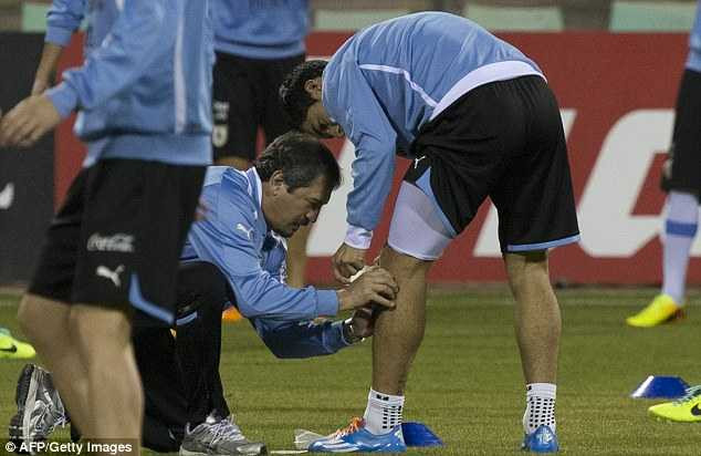 Sốc: Suarez chấn thương, dễ lỡ World Cup 2014