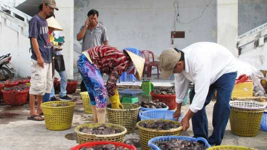 Thương lái Trung Quốc bỗng nhiên mua con banh lông với giá cao