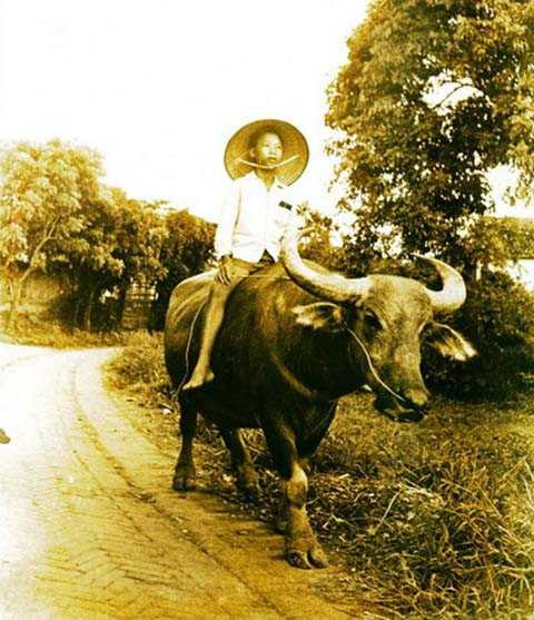 Hà Nội, thập hiên 1950, thị thành, nông thôn