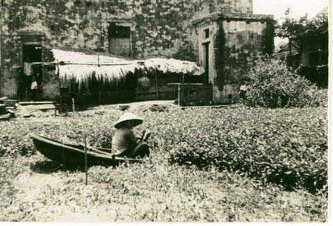 Hà Nội, thập hiên 1950, thị thành, nông thôn