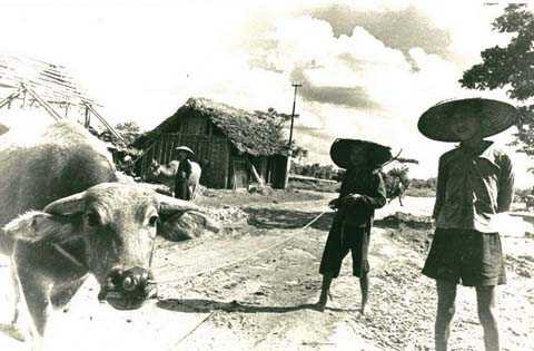 Hà Nội, thập hiên 1950, thị thành, nông thôn