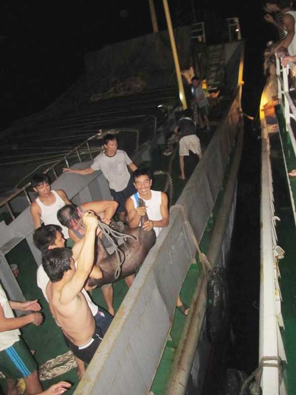  Tàu KN 761 phải tiếp nhận lương thực trong đêm. Ảnh: Nam Cường