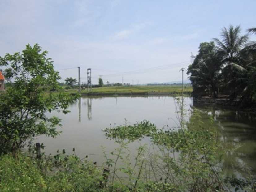 Hồ nước nơi cháu Nguyễn Văn Hoàng không may tử vong