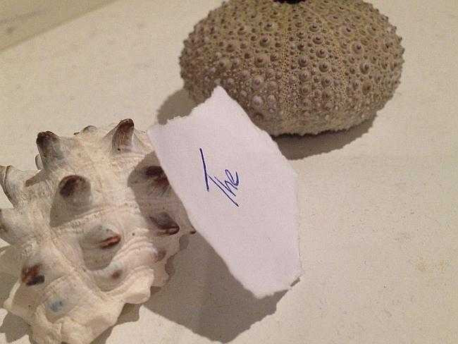 Kỳ khôi mẩu giấy rách được đấu giá hàng trăm triệu