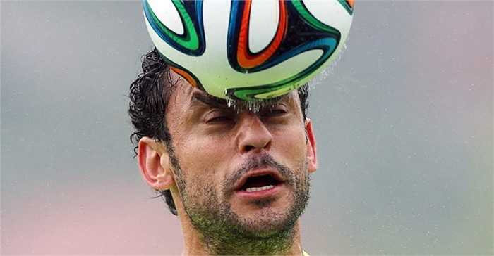 Một hình ảnh ấn tượng về Fred