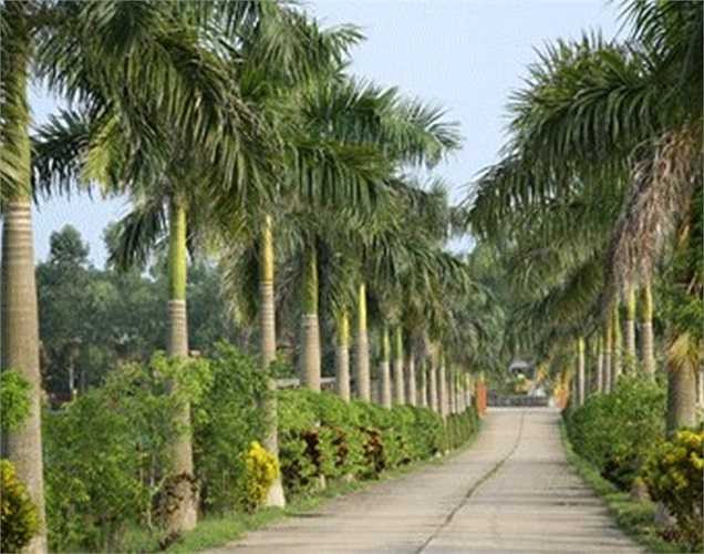 Các phần mộ ở đây bao gồm mộ đơn, mộ đôi, mộ gia đình và mộ gia tộc với nhiều dịch vụ độc đáo như: dịch vụ chăm sóc vĩnh viễn, dịch vụ cúng giỗ, thắp hương, quay phim...