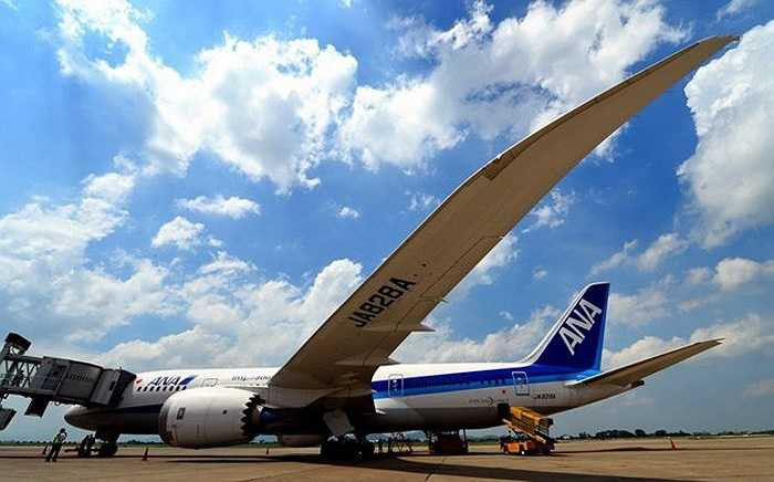 Boeing 787 Dreamliner sử dụng nguyên liệu composit nhẹ, cánh cao hơn, động cơ do hãng Roll Royce sản xuất với 1000 mã lực, cách thiết kế mới nhất, động cơ 787 khuyến khích luồng khí laminar thổi trên phần lớn bề mặt động cơ so với các máy bay thông thường, do đó tiết kiệm nhiên liệu hơn các máy bay khác 20%.