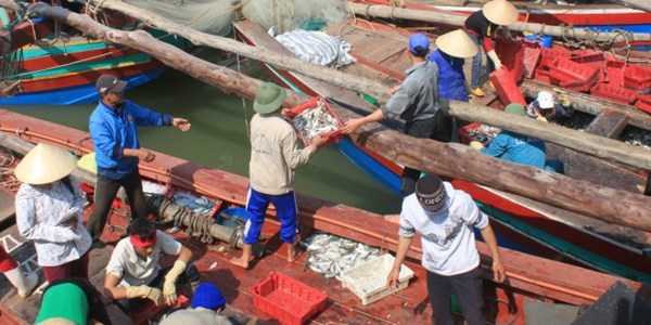 Bà con ngư dân phường Quảng Tiến, thị xã Sầm Sơn (Thanh Hóa) thu hoạch hải sản sau chuyến vươn khơi, bám biển. Ảnh: An Bình