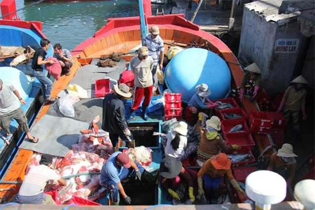 Thuyền viên trên tàu cá QNg 90567 Ts khẩn trương bán hải sản khai thác và sửa chữa lại tàu, tiếp tục ra khơi