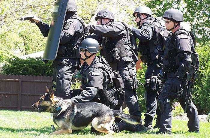 Có nhiều bằng chứng cho thấy Bigfoot thực sự tồn tại và gây nguy hiểm cho người dân. Chính phủ Mỹ đã bí mật thành lập một đội đặc nhiệm chuyên săn lùng Bigfoot.