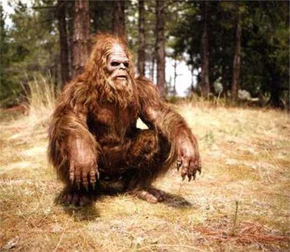Một số người theo thiên chúa giáo tin rằng Bigfoot là con cháu của nhân vật Cain trong kinh thánh. Những đứa trẻ này bị bỏ rơi và lang thang trong những khu rừng ở Bắc Mỹ 