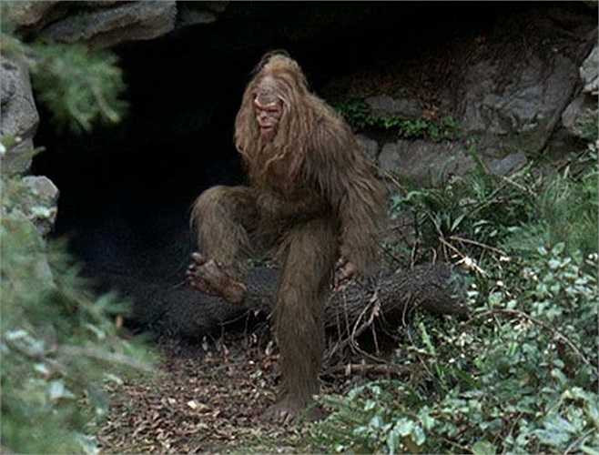 Vì muốn tránh sự dòm ngó của con người nên cách tốt nhất là các Bigfoot sẽ sống ẩn mình trong các hang động và chỉ ra khỏi hang khi thực sự cần thiết.