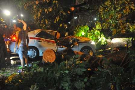 Cây cổ thụ đổ đè bẹp taxi, tài xế tử vong tại chỗ