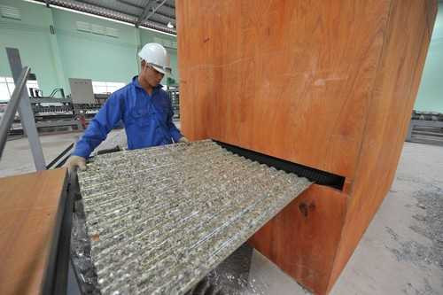 Vinamilk tổ chức: Đổi vỏ hộp sữa lấy cây xanh