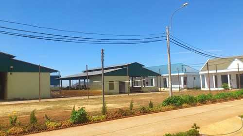 Vinamilk tổ chức: Đổi vỏ hộp sữa lấy cây xanh