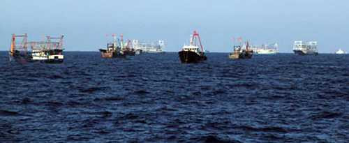  Dày đặc tàu cá Trung Quốc ngang nhiên đánh bắt trong vùng biển của Việt Nam - Ảnh: Trung Hiếu/TNO